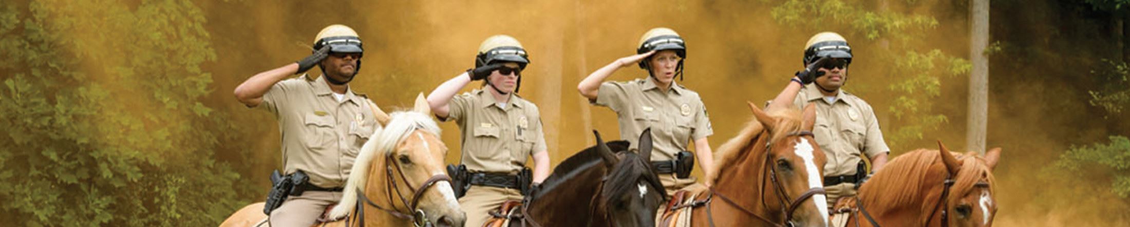 Men and Woman police saluting on horseback